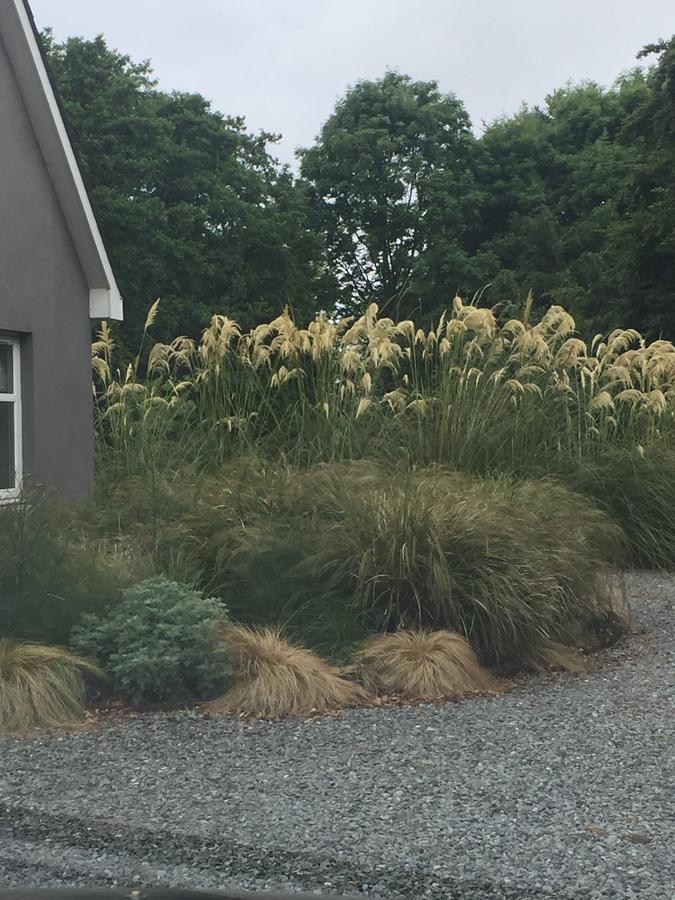 The Wendy Hoose Bed & Breakfast Nairn Luaran gambar