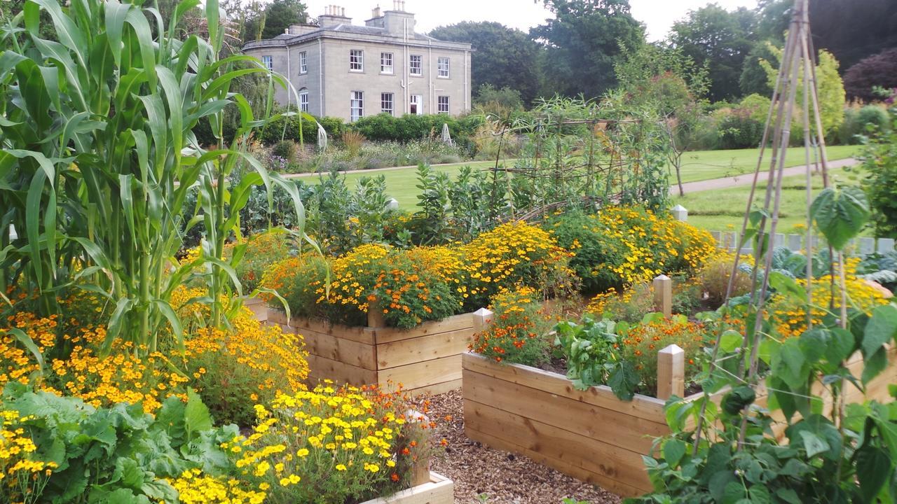 The Wendy Hoose Bed & Breakfast Nairn Luaran gambar